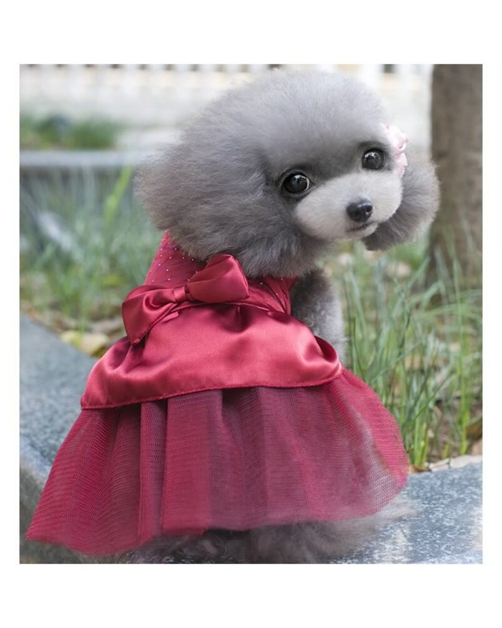Tutu Dog Dress Lace Dress Cute Pet Cat Princess Apparel Clothes Party Pet Skrit for Dog and Cat Pet Supplies front-3
