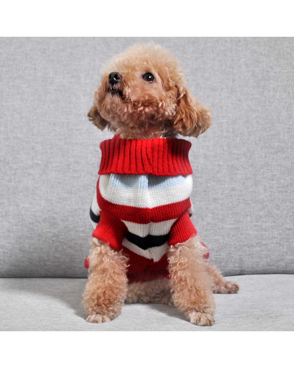 Stripe French Bulldog Dog Pullover Sweater Winter Warm Pet Clothes For Small Dogs Sphinx Pug Puppy Sweatshirt Dogs Pets front-3