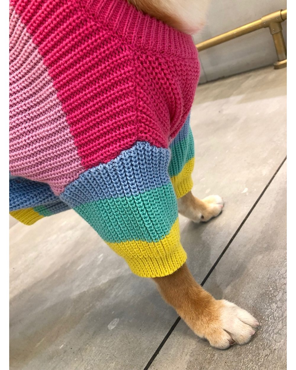 Puppy Rainbow Sweater Knitted Pet Cat Sweater Warm Dog Sweatshirt Dog Winter Clothing Kitten Puppy Sweater front-3