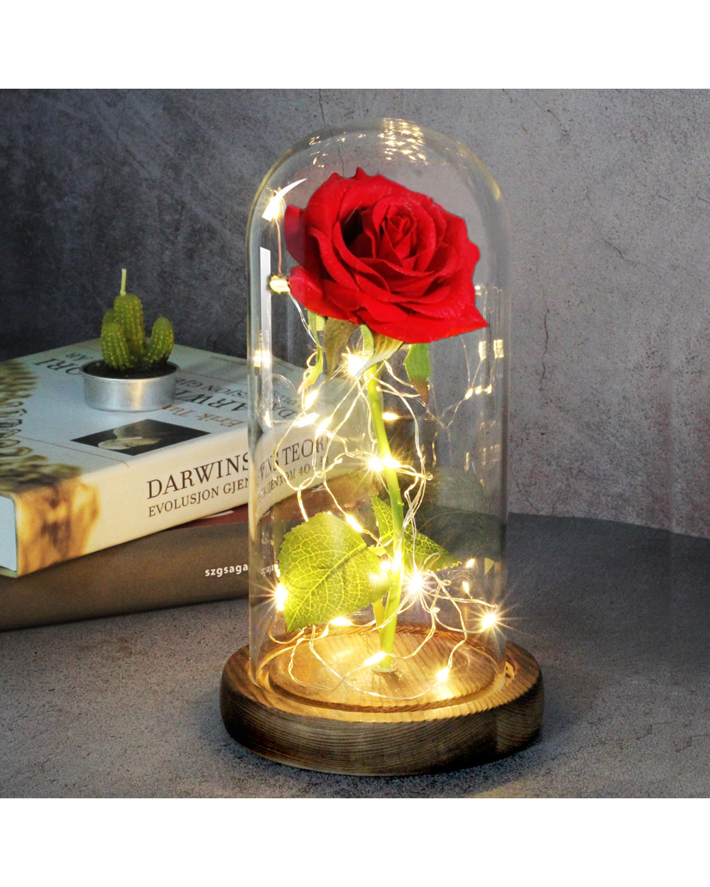Eternal Rose LED Lamp front-0