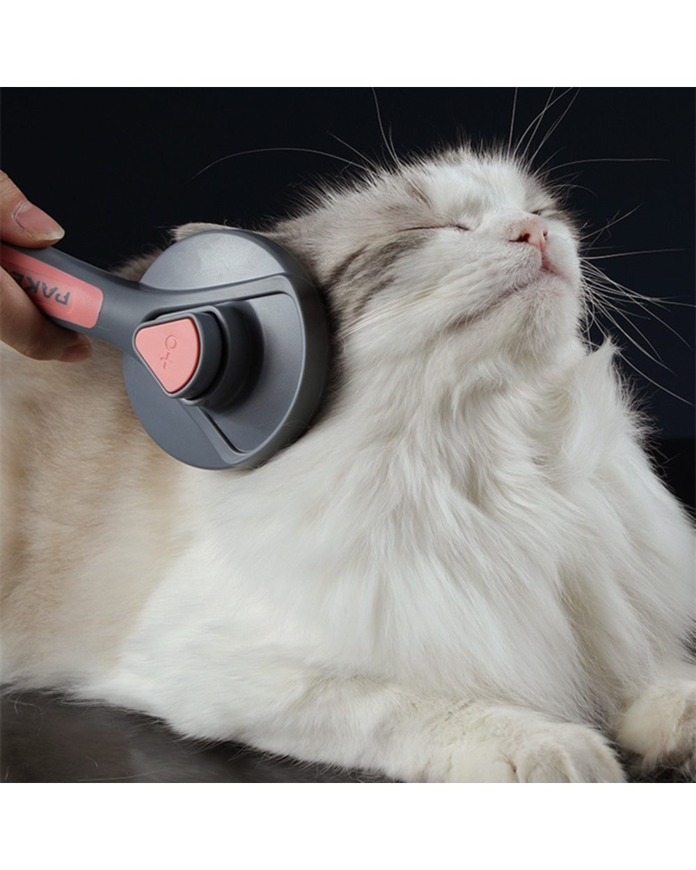 Mainecoon Cat Comb Dog Comb Cat Hair Brush Pet Dog Hair Special Needle Combs Cat Hair Cleaner Cleaning front-2