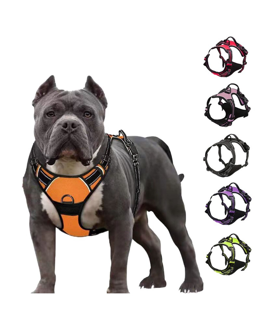 Pitbull bull terrier Reflective Pet Puppy Large Dog Harness for Small Large Dogs No Pull Harness Vest Strap front-0