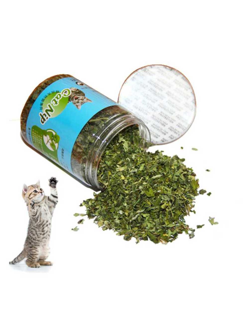 10G/20G/30G Cat Toy Catnip Organic 100% Natural Premium Catnip Cattle Grass Menthol Flavor Funny Cat Mint Toys Cat Tree front-1