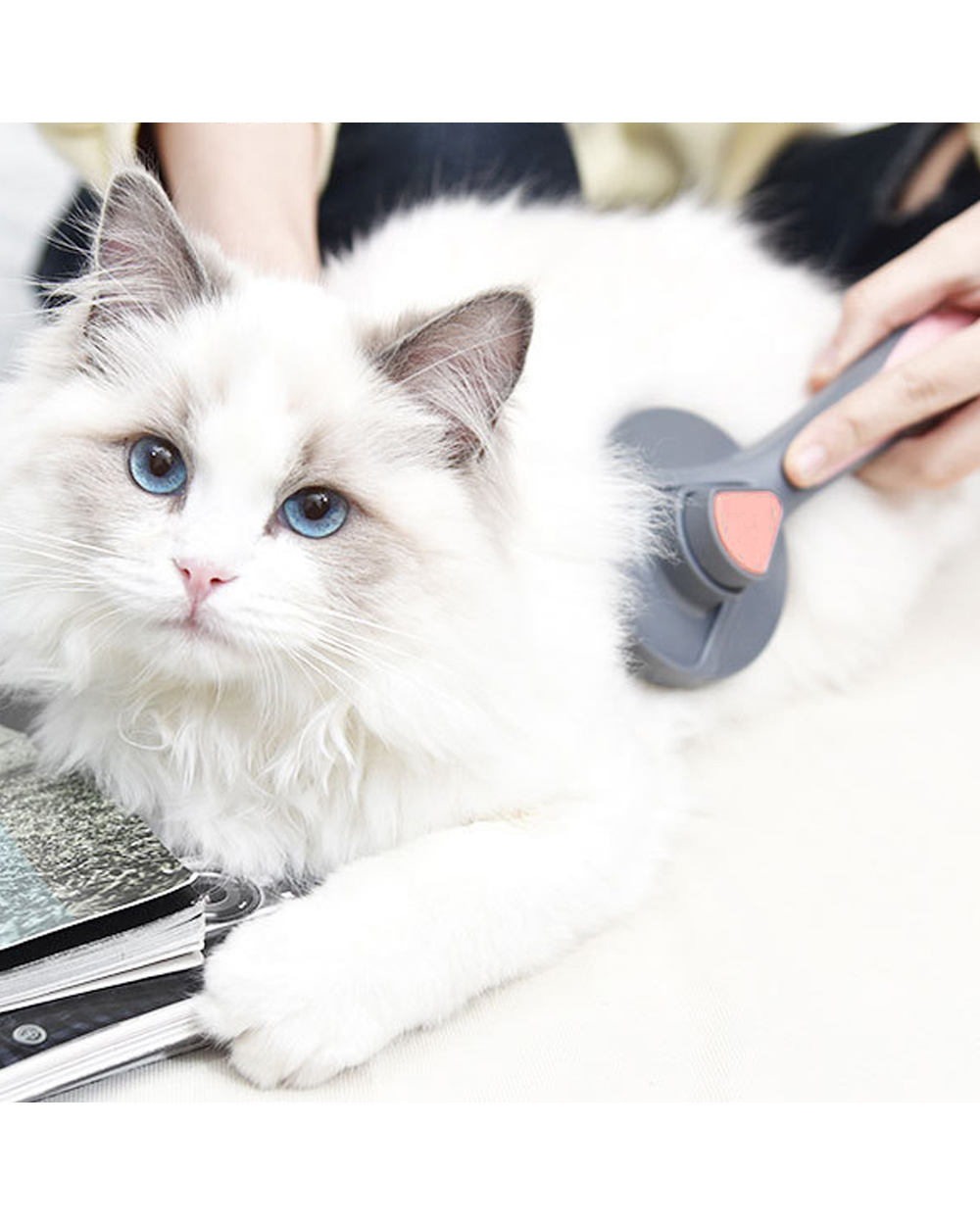 Cat Brush Dog Comb Hair Removes Pet Hair Comb For Cat Grooming Hair Cleaner Massages Beauty Products Self Cleaning Slic front-2