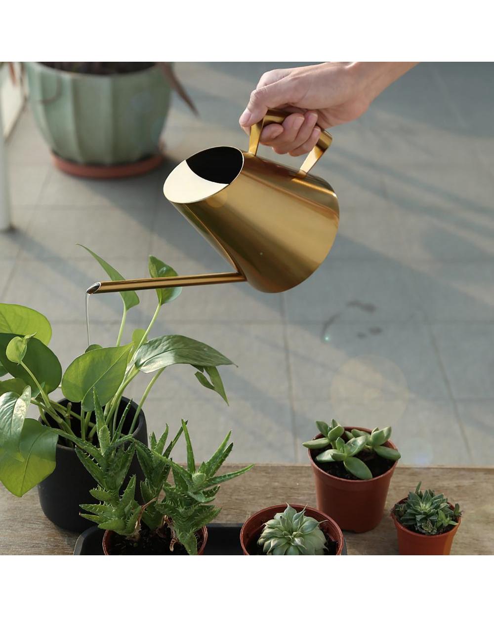Stainless Steel Watering Pot Gardening Potted Small Watering Can Use Handle Perfect For Watering Plants Flower Garden T front-2