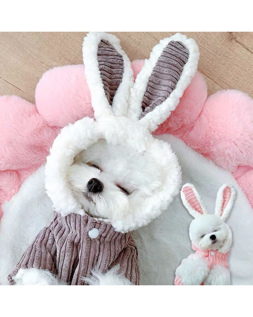 Autumn Winter Rabbit Soft Fleece Dog Clothes Pet Dress Pattern Coral Velvet Puppy Coat Thick Warm Jacket For Dogs Cats front-1