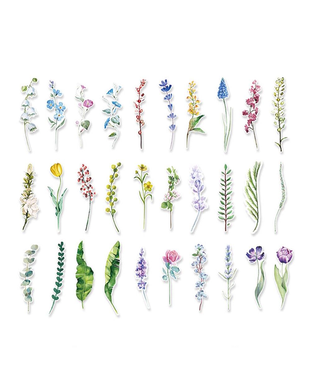 30 Pcs/Box New Plants Flower Paper Bookmark Stationery Bookmarks Book Holder Message Card School Office Supplies front-2