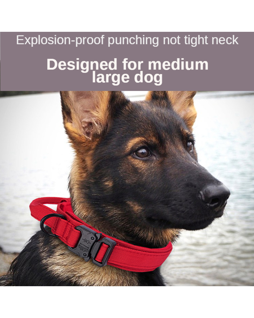 Durable Tactical German Shepherd Dog Collar front-3
