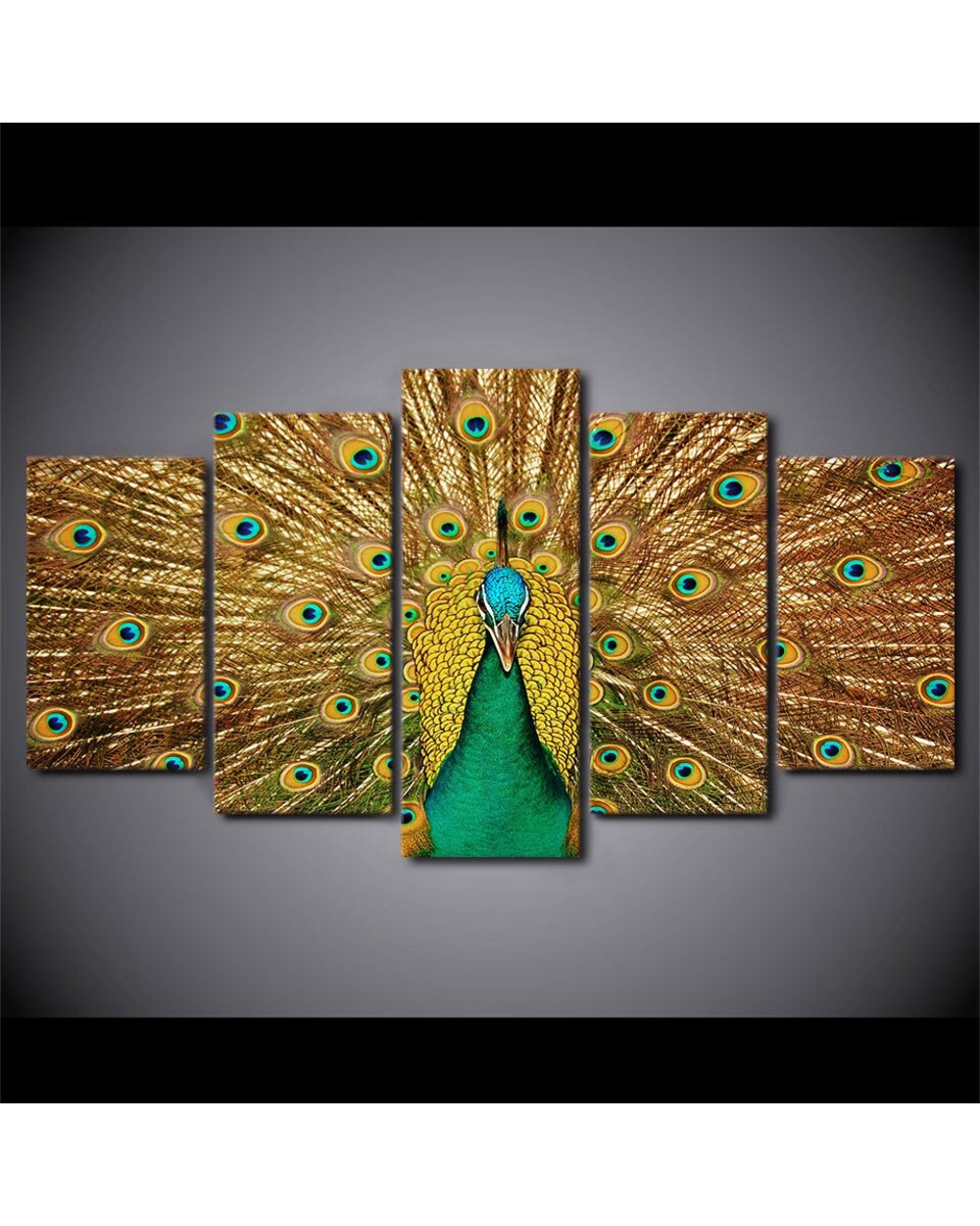 Peacock Tail Feathers Picture Animal 5 Canvas Art Wall Decor front-2