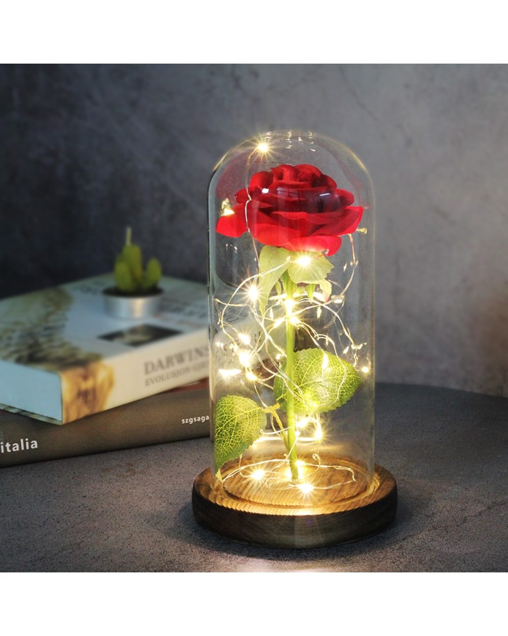 Flower Led Eternal Rose in Glass Valentines Gift for your girlfriend! front-0