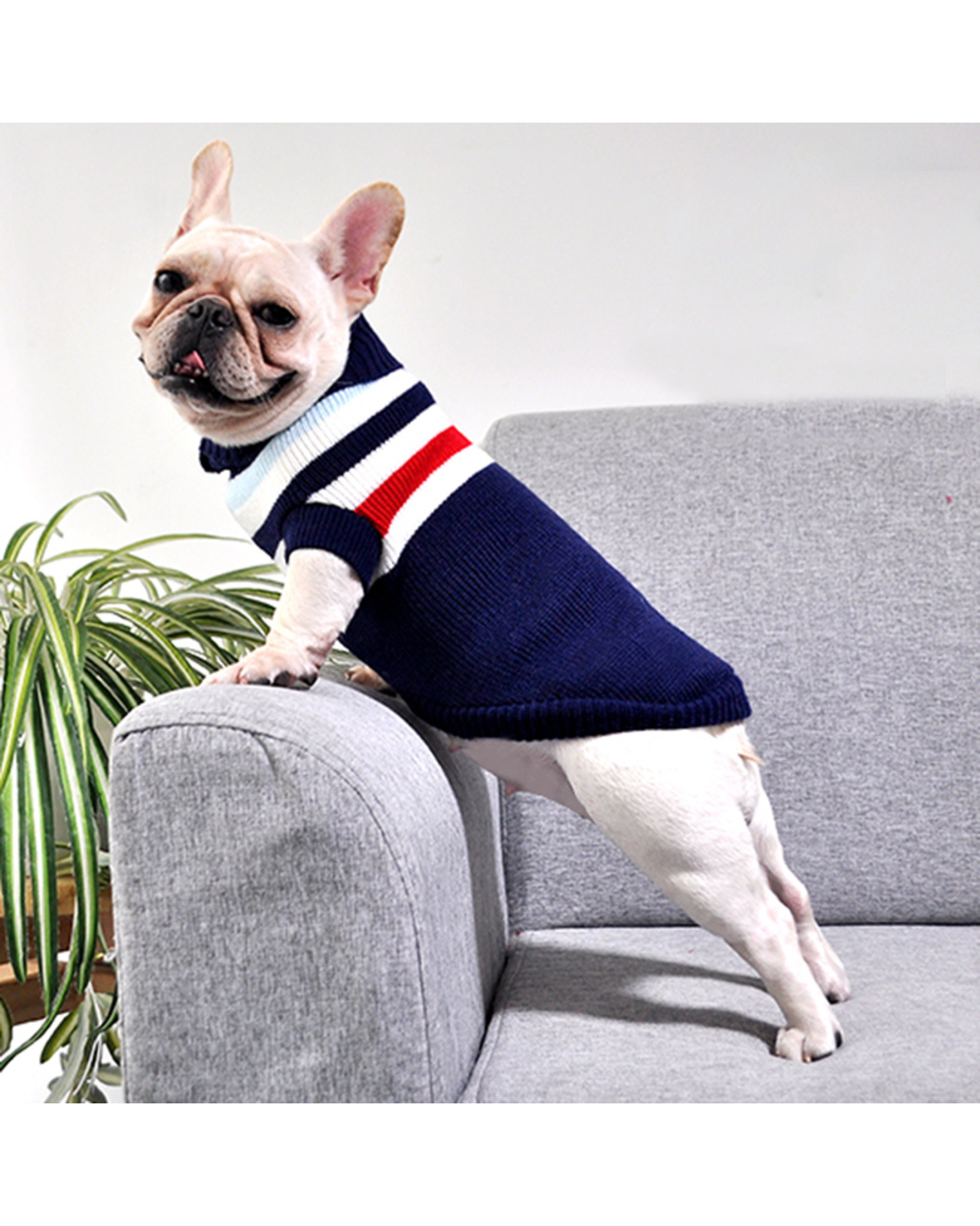 Stripe French Bulldog Dog Pullover Sweater Winter Warm Pet Clothes For Small Dogs Sphinx Pug Puppy Sweatshirt Dogs Pets front-1