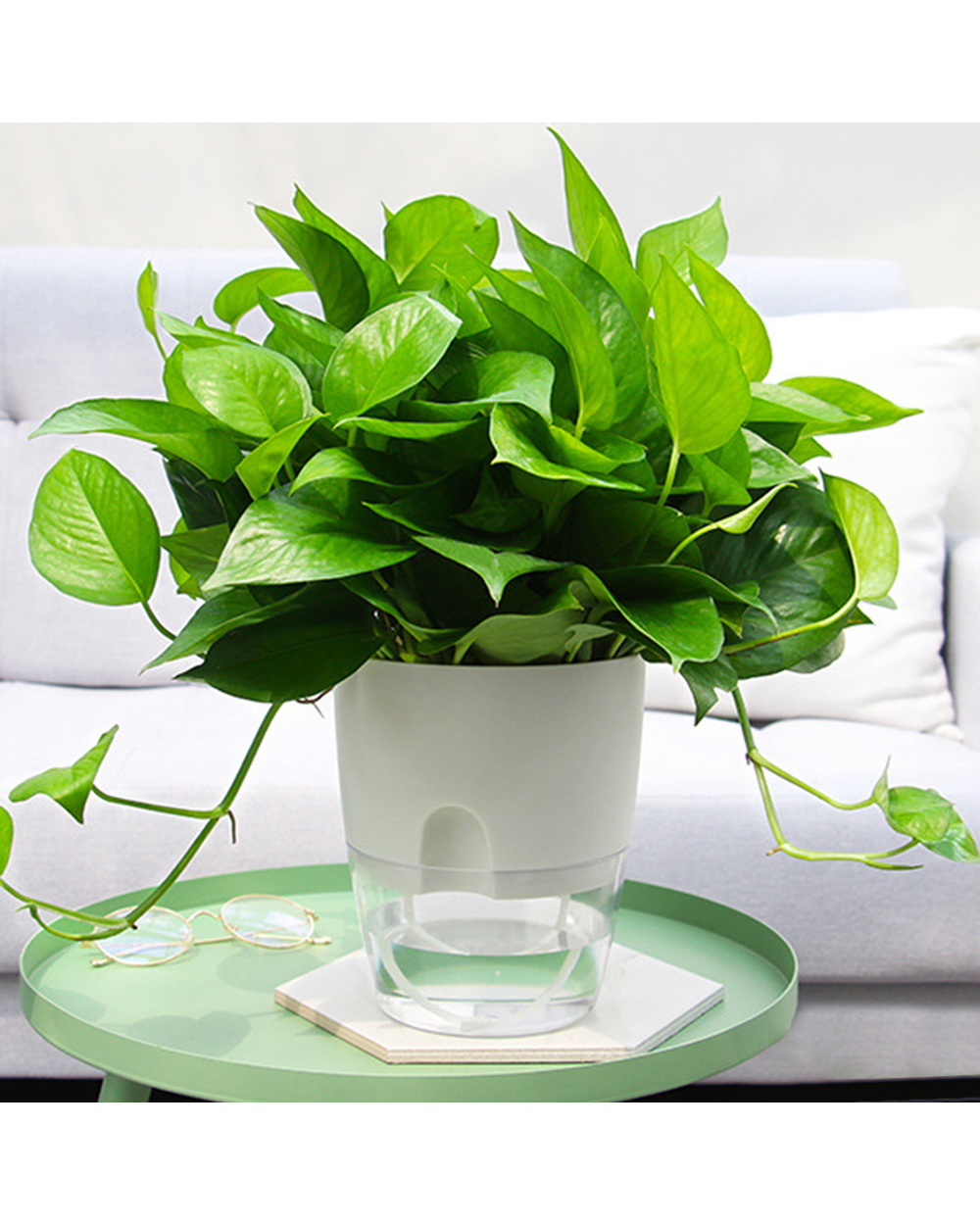 2 Layer Hanging Pic Wall Planter Basket Self Watering Plant Flower Pot Vase Water Container Pic Flower Planter Stand front-1