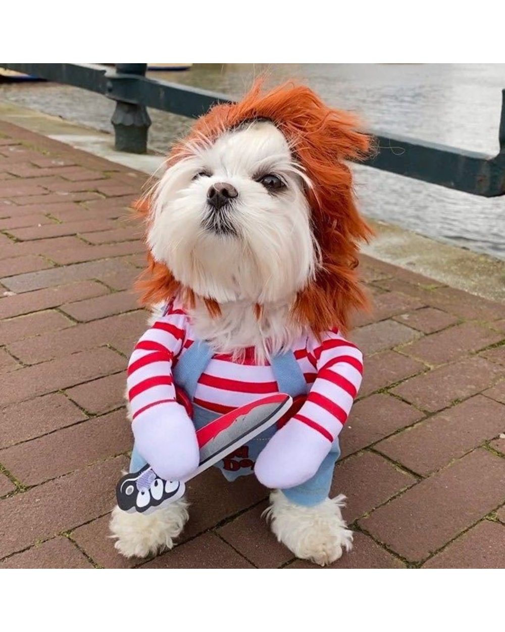 Funny Dog Clothes Dogs Cosplay Costume Halloween Comical Outfits Holding a Knife Set Pet Cat Dog Festival Party Clothing front-5