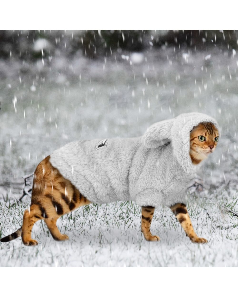 Warm Cat Clothes Winter Pet Puppy Kitten Coat Jacket For Small Medium Dog Cats Chihuahua Yorkshire Clothing Costume Pink front-2
