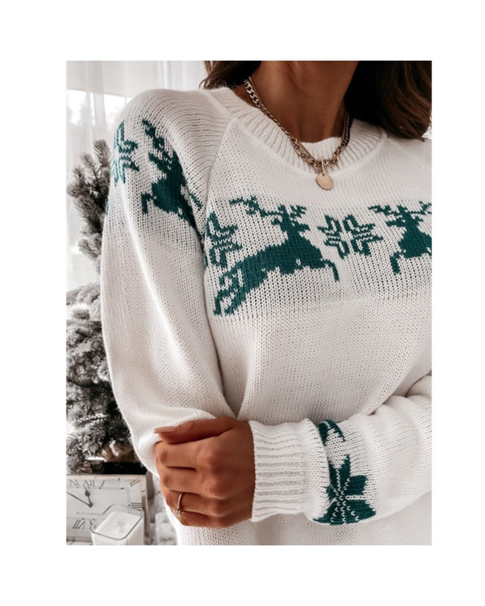 Beautiful Christmas Sweater Round Neck Long Sleeve Elk Deer Snowflake Women's Pullovers Knit front-4