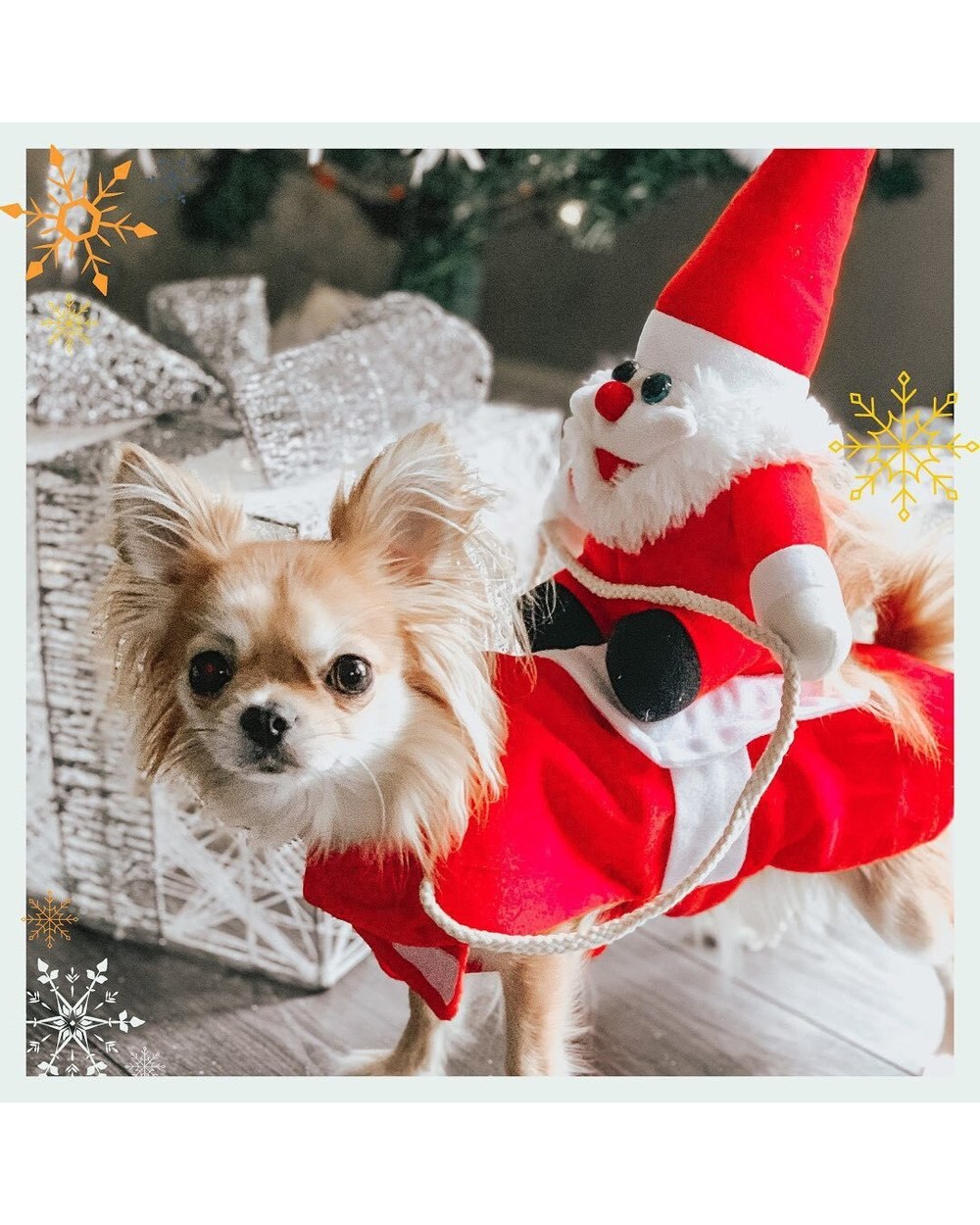 Christmas Pet Dog Clothes Santa Claus Costume For Dogs Cats Chihuahua Pug York Winter Puppy Jacket Warm Suit Pets Outfit front-1