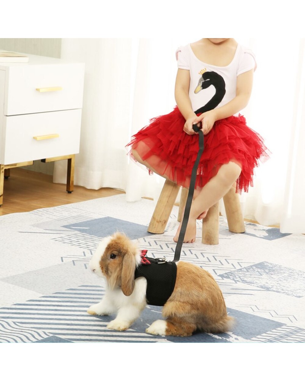 Rabbit Harness with Lead Leash Set with Angel's Wings Nylon Ropes Adjustable Soft Mesh Vest Harness for Rabbit front-1