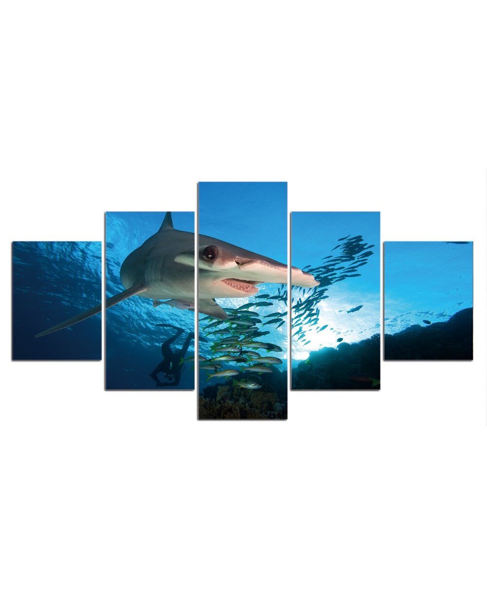 Shark Picture Print Animal 5 Panel Canvas Art Wall Decor front-2