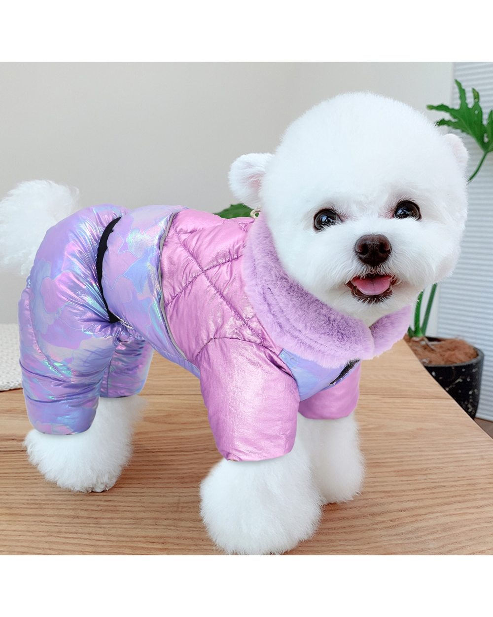 Thick Clothes For Small Large Dogs Winter Warm Pet Puppy Dog Coat Waterproof Dog Jacket Chihuahua Yorkie Bulldog Outfit front-4