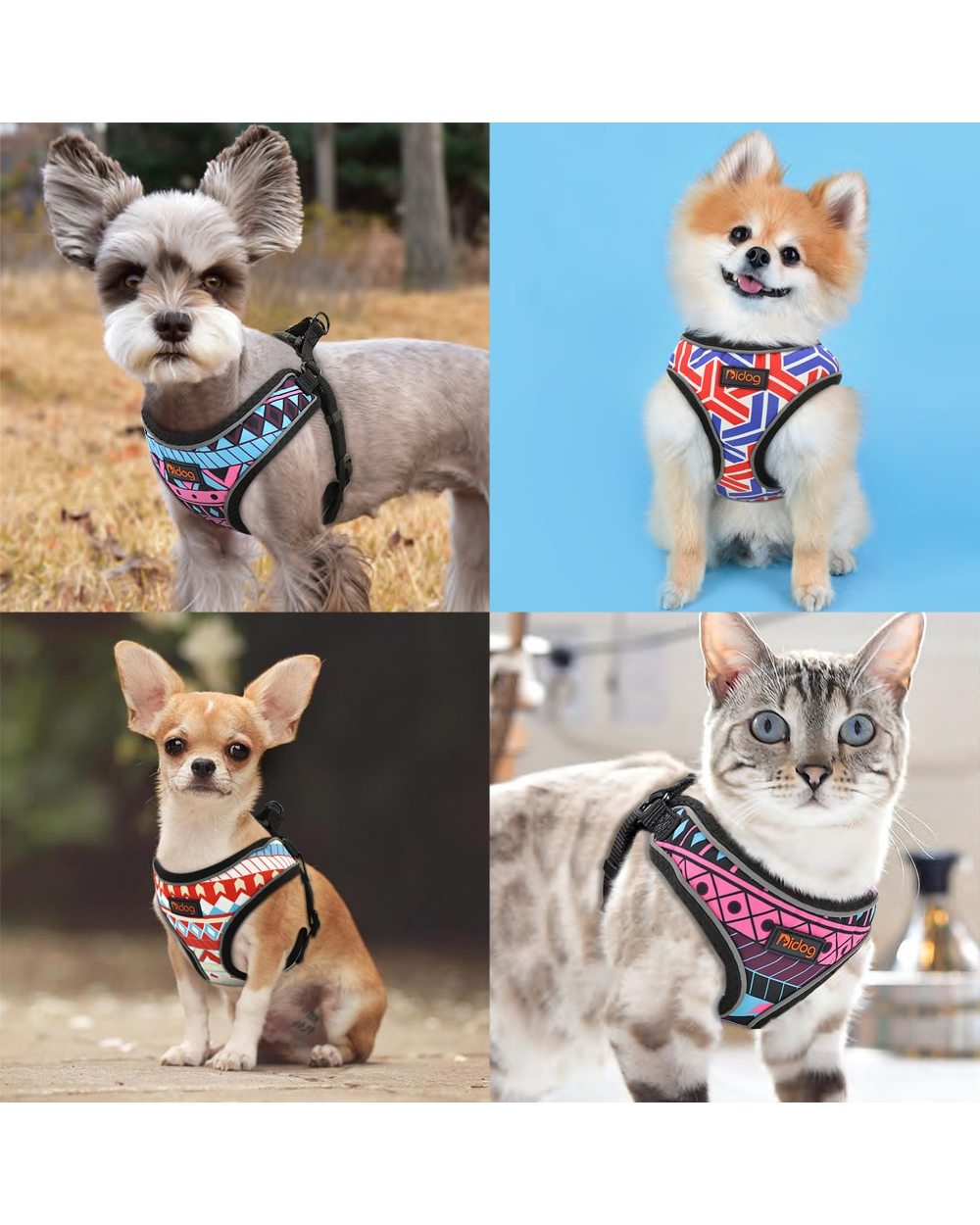 Nylon Reflective Dog Cat Harness Vest French Bulldog Harness Puppy Small Medium Dogs Cats Harness For Chihuahua Walking front-3