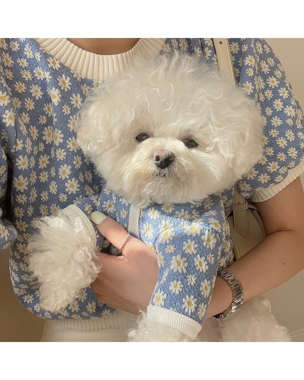 Autumn and winter new small daisy cardigan pet Teddy Bichon Pomeranian Schnauzer Yorkshire small dog dog clothes front-0