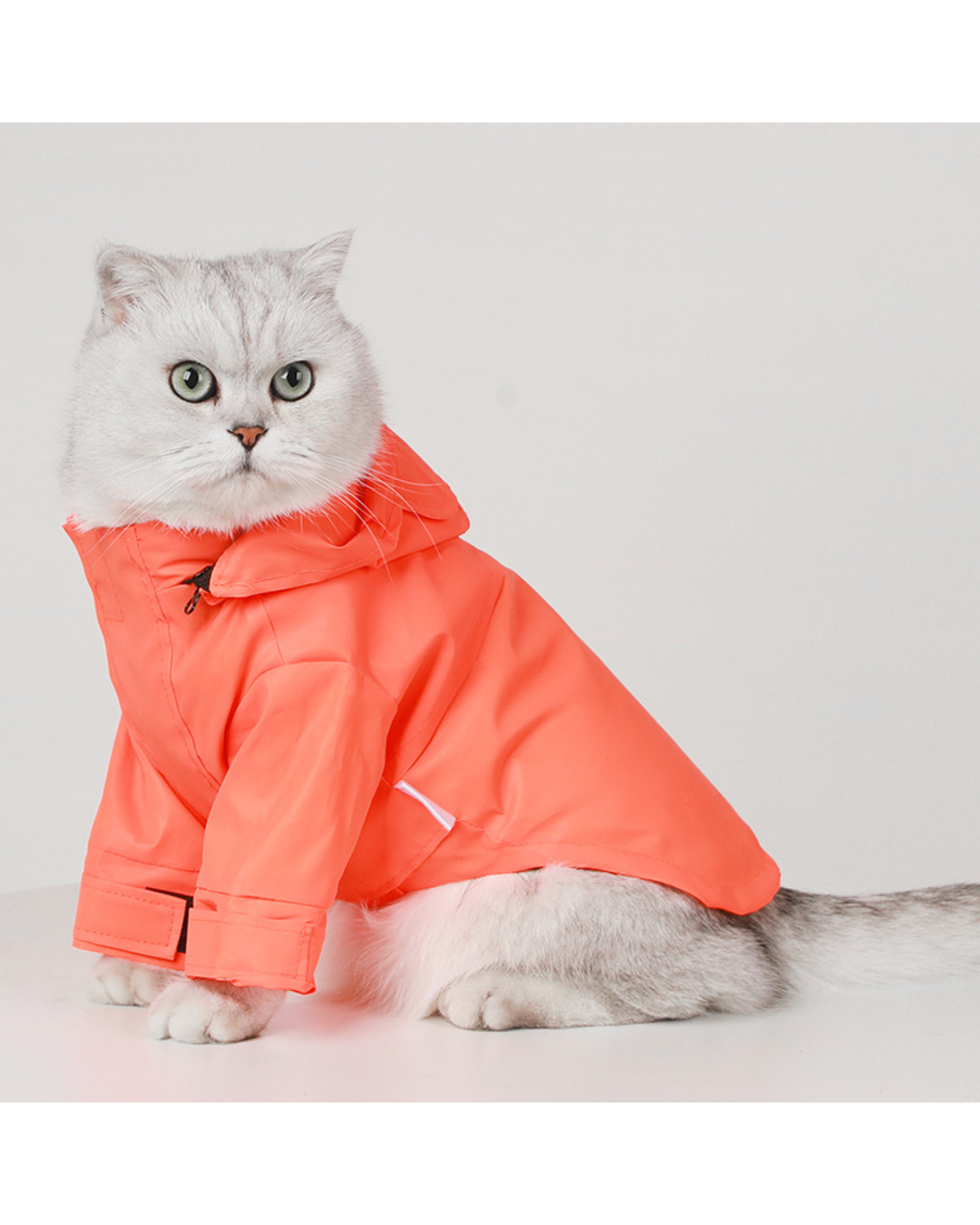 Reflective Ragdoll cat Raincoat Clothes Bichon Poodle Schnauzer Waterproof Clothing Welsh Costume front-0