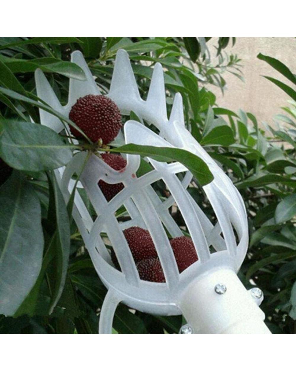 Fruit Picker Catcher front-0