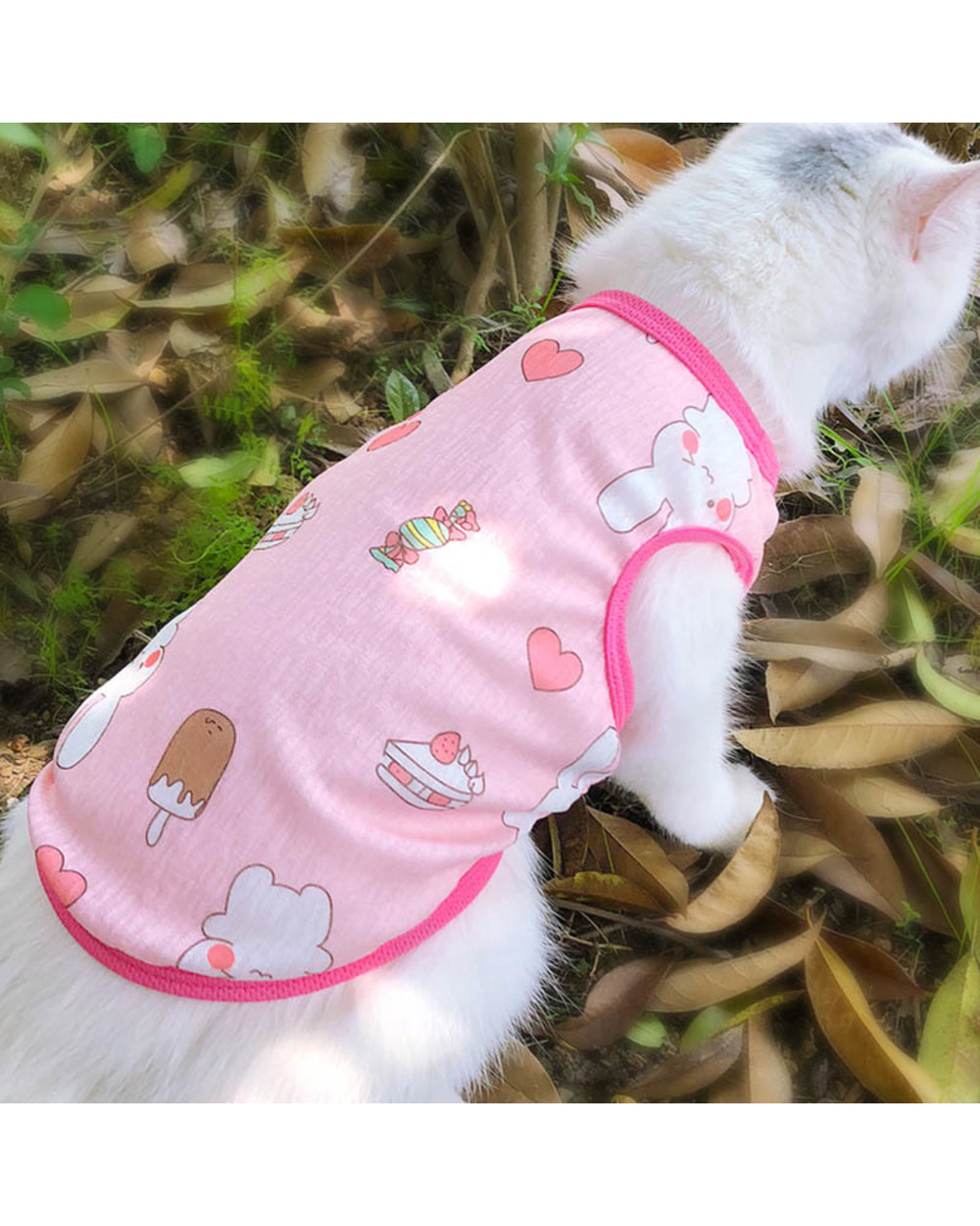 Summer Mainecoon Cat Clothes Thin Sun Pet Clothing For Small Cats Dogs Cat Costumes Soft Kitten Kitty front-2