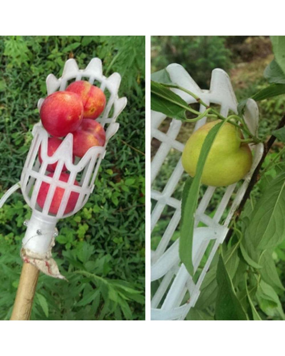 Fruit Picker Catcher front-5
