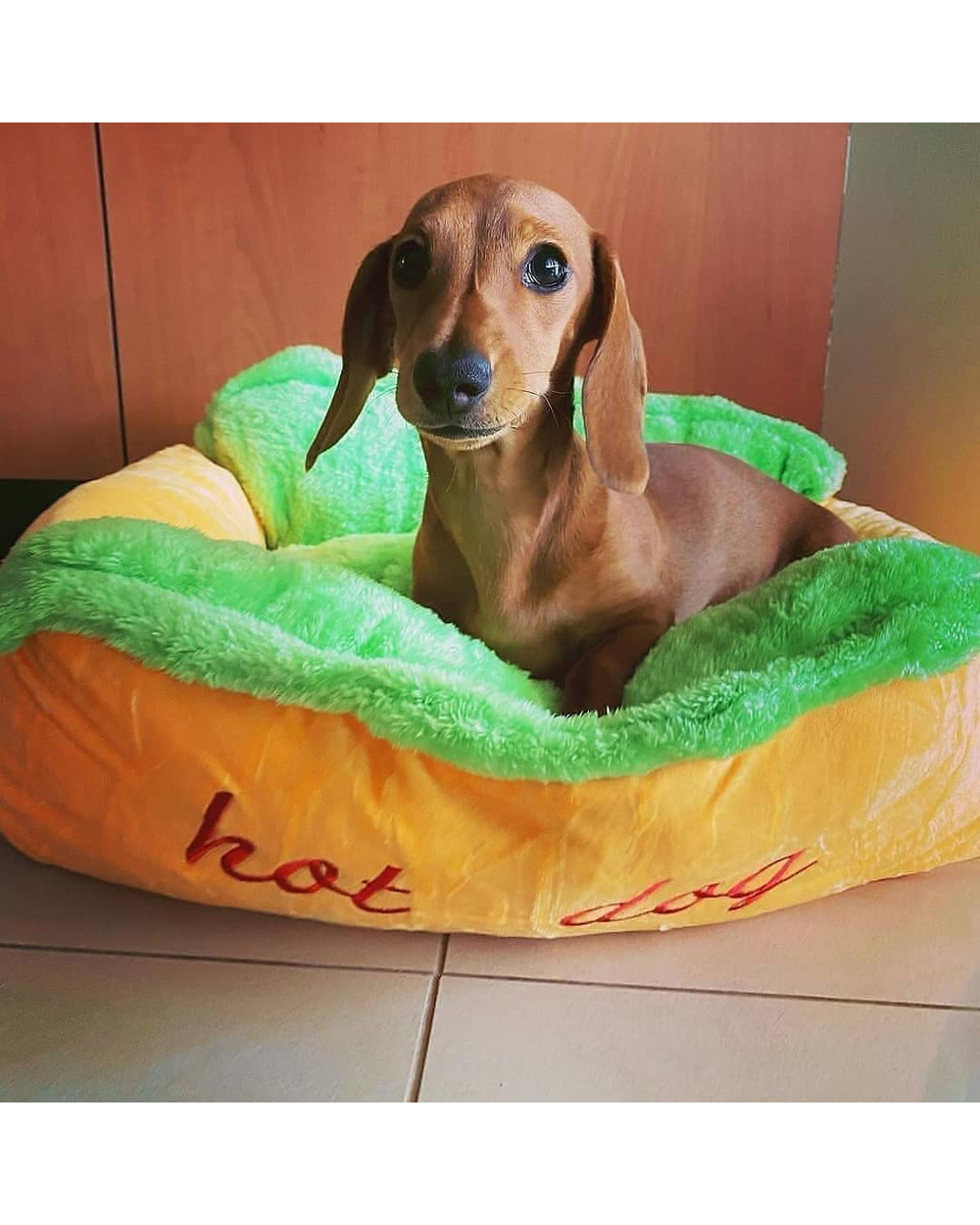 Dachshund HotDog Bed front-1