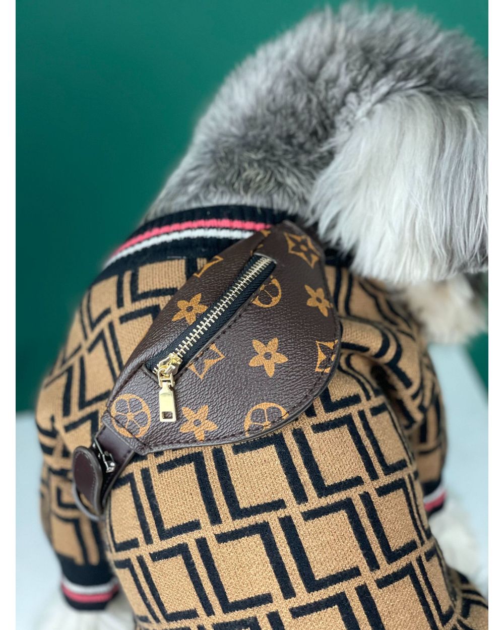 Pet Supplies Dogs Self Backpack AccessoriesDog Bags Teddy Schnauzer Puppy Shiba Lnu Cat Tide Messenger Bag Dog Supplies front-2