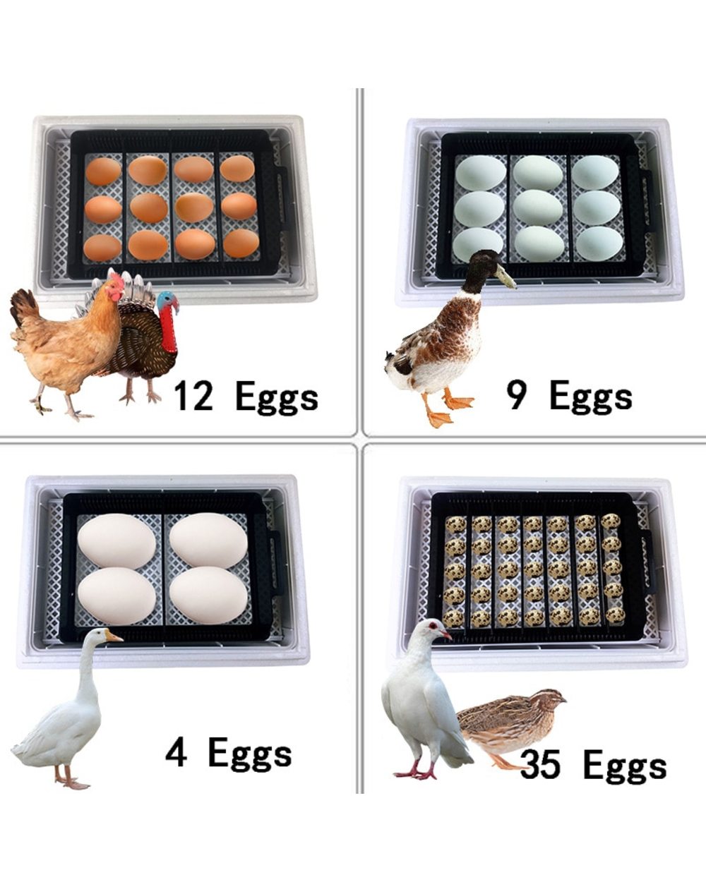 Newest Farm Hatchery Incubator Brooder Machine 4-35 Egg Hatchers Cheap Price Chicken Automatic Eggs Incubator front-4