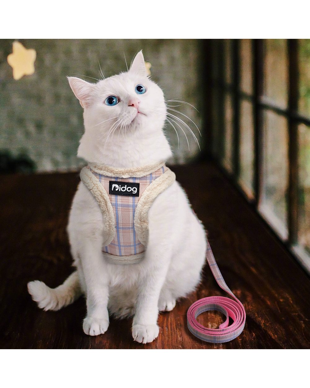 Cute Pet Cat Harness Vest Soft Padded Chihuahua Puppy Cat Harness Collar Adjustable Walking Leash For Small Dogs Cats front-3