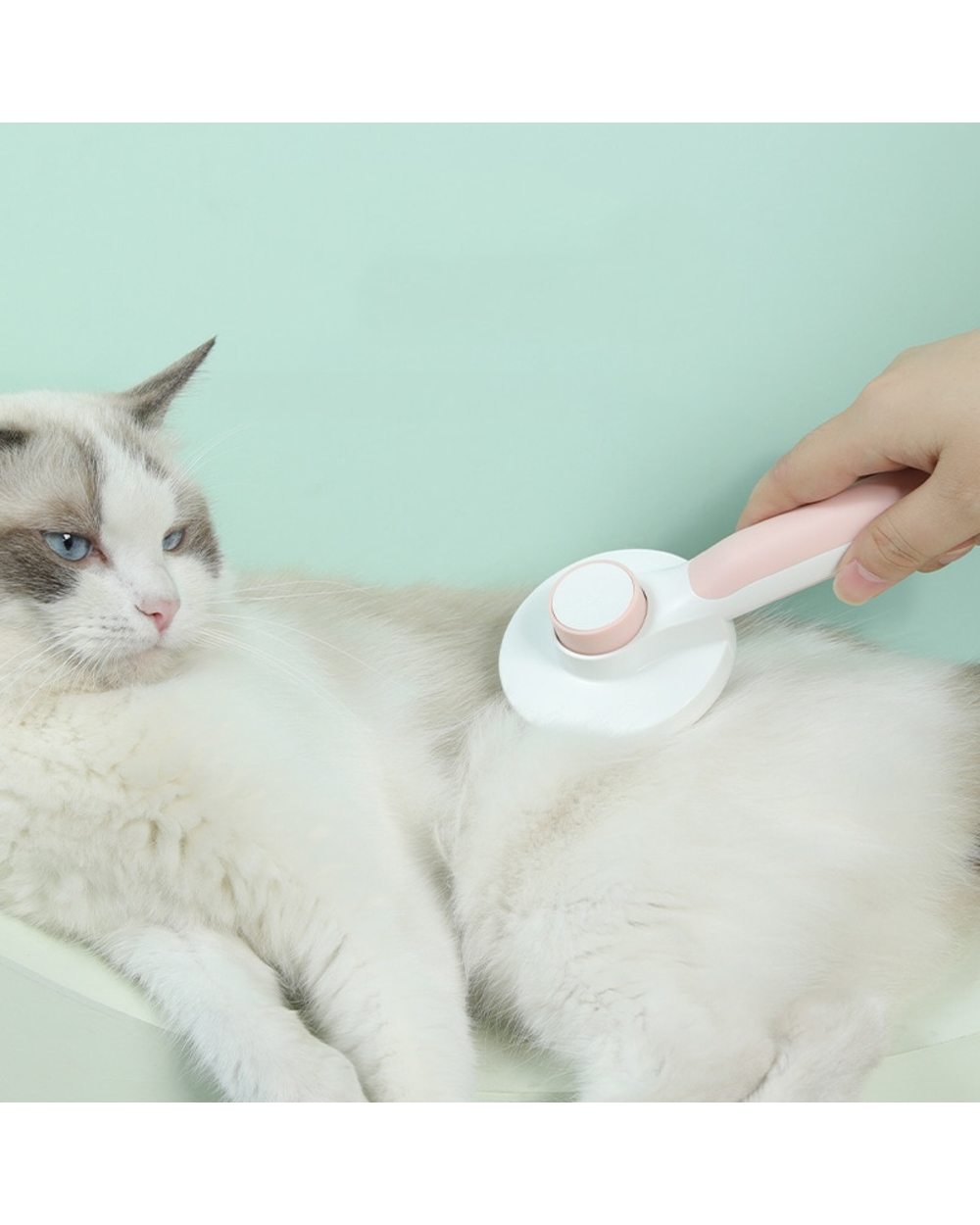 Self Cleaning Slicker Brush for Dog and Cat front-1