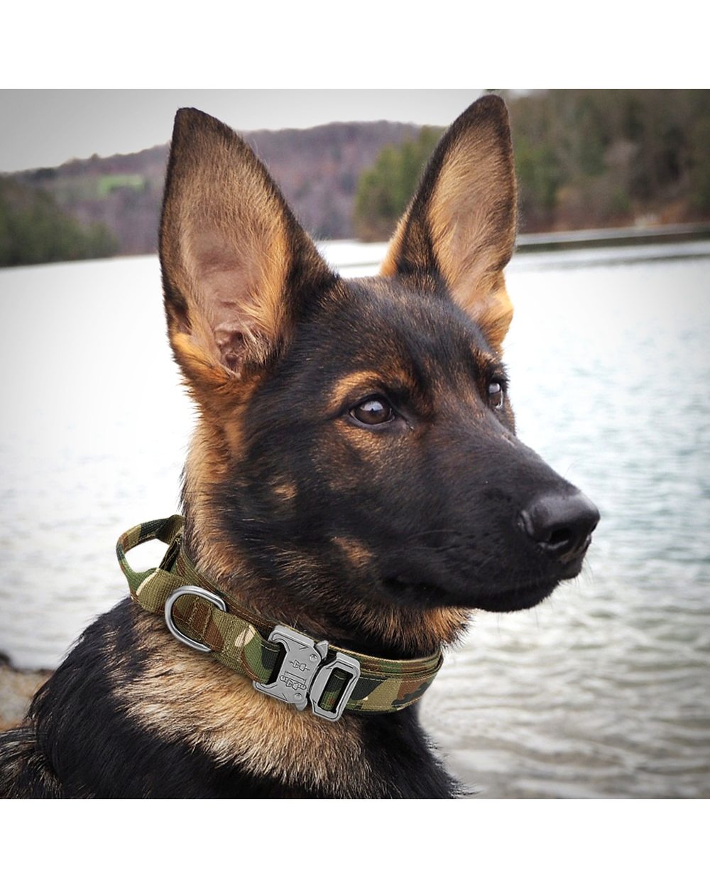 Military Tactical Dog Collar German Shepard Large Dog Collars For Walking Training Duarable Dog Collar Control Handle front-4