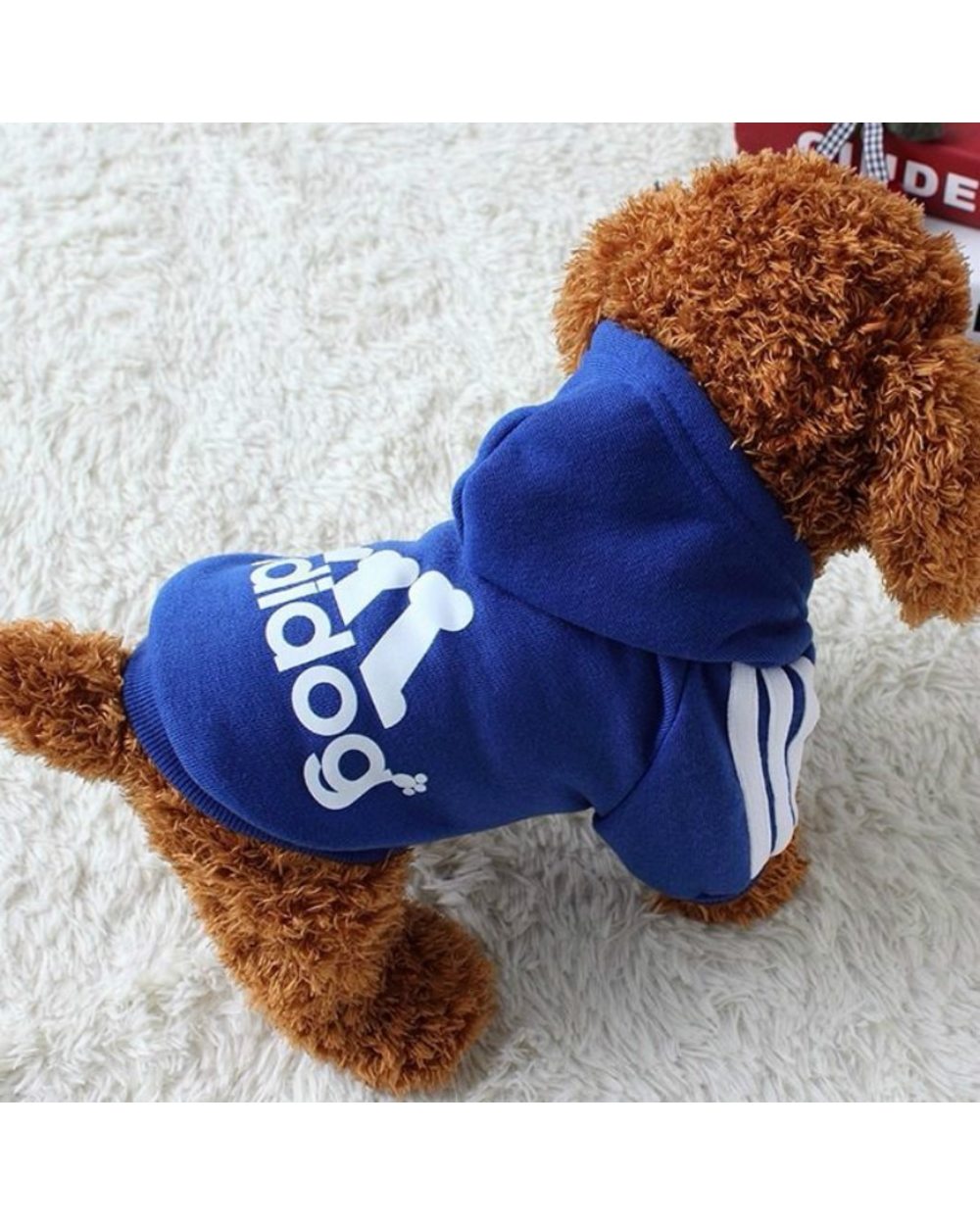 Autumn Pet Dog Clothes for Small Medium Big Dogs Clothing Chihuahua Fashion Sport Hoodies for Yorkies Dog Accessories front-1