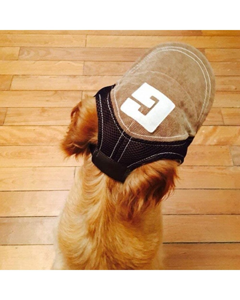 Pet Dog Hats Breathable Cute Summer Baseball Sun Cap With Ear Holes For Small Large Dog Outdoor Accessories front-2
