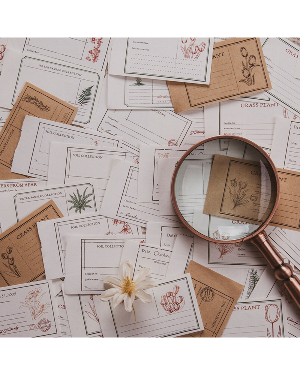 Journamm 100Pcs Vintage Plant Kraft Paper Deco Retro Stationery Supplies Litmus Paperjunk Journal Label Scrapbooking Ma front-2