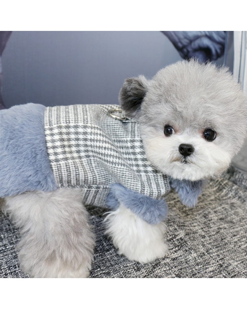 Autumn and winter thickened warm dog coat pet clothes Bichon Pomeranian Teddy Schnauzer small dog clothes front-2