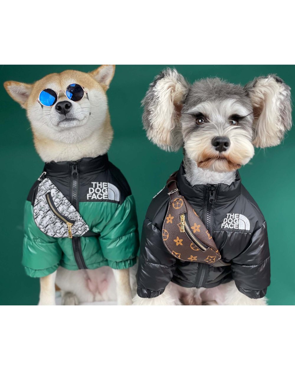 Pet Supplies Dogs Self Backpack AccessoriesDog Bags Teddy Schnauzer Puppy Shiba Lnu Cat Tide Messenger Bag Dog Supplies front-0