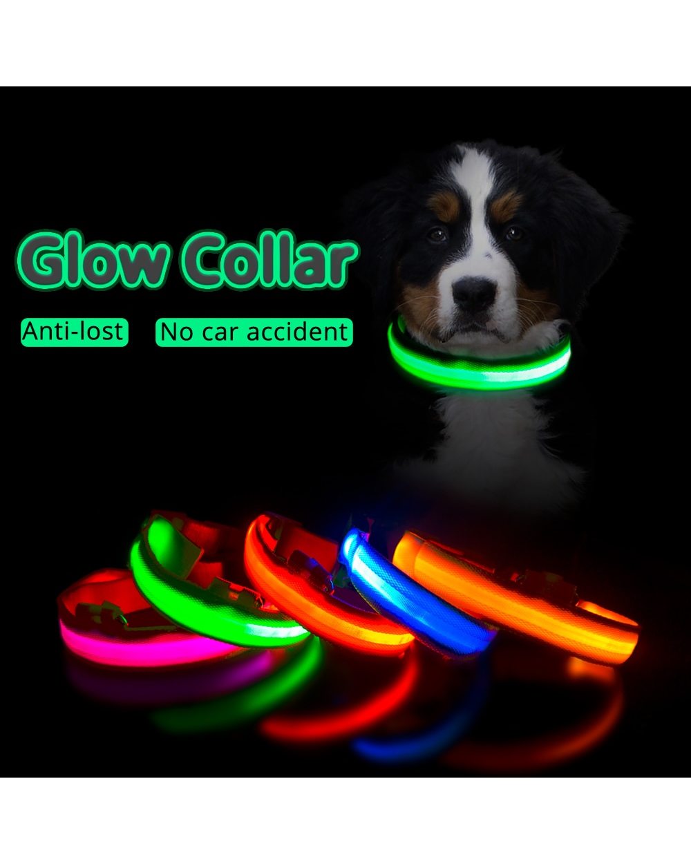 Led Dog Collar front-0