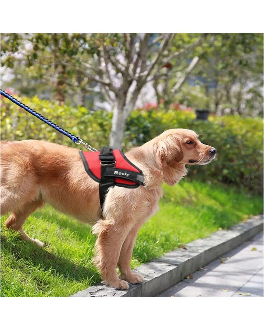 Dog Harness Vest front-5