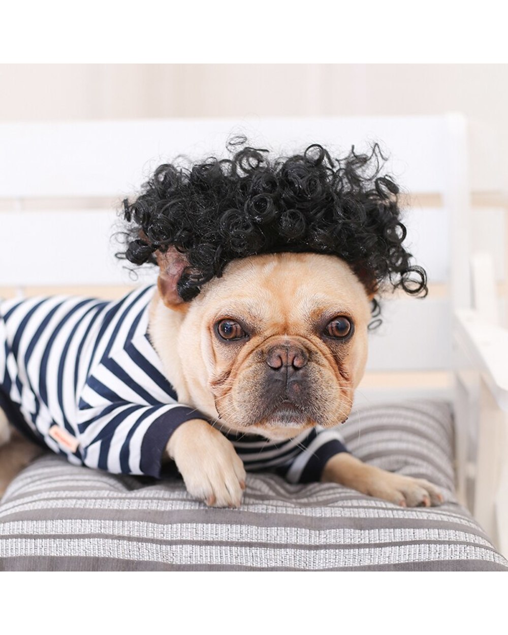 4 Style Fashion Wig Hairstyle Pet Wigs Cat Dog Cospaly Props Wigs Tiara Hairpiece Grooming Makeover Clothing Pet Supplie front-2