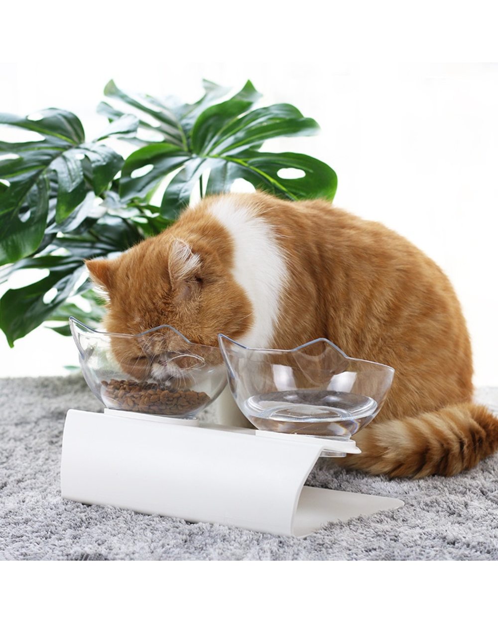 Cat Feeding Bowl front-4
