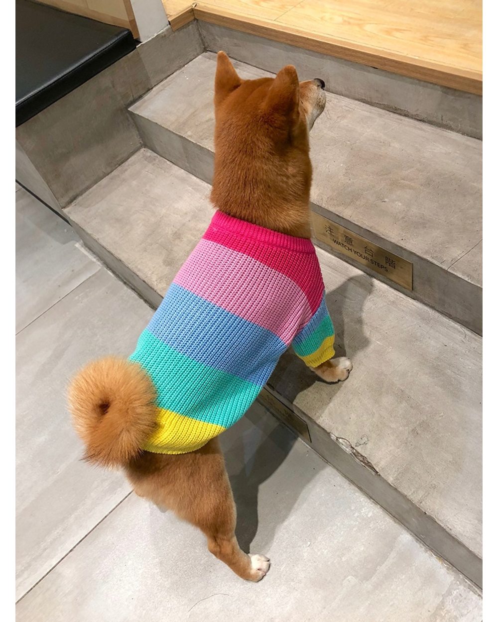 Puppy Rainbow Sweater Knitted Pet Cat Sweater Warm Dog Sweatshirt Dog Winter Clothing Kitten Puppy Sweater front-2