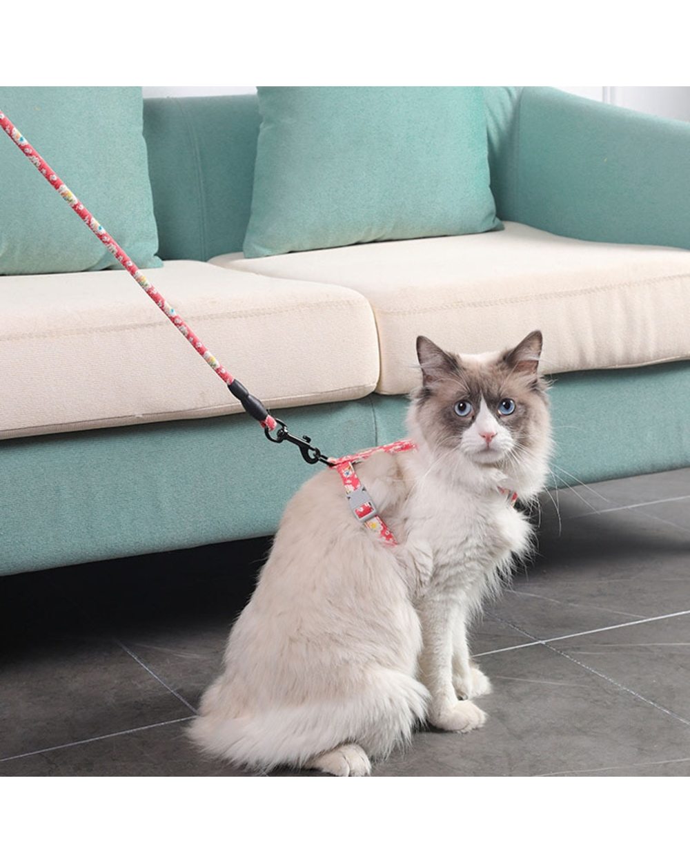 Cat Dog Collar Harness Leash Adjustable Cats Products Reflective Pet Harness Belt front-2