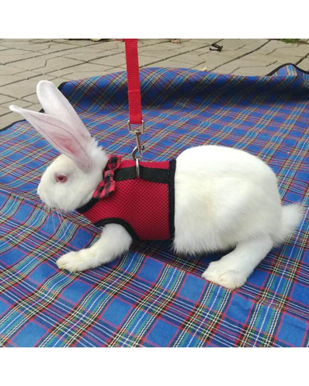 Pet Mesh Soft Harness With Leash Small Animal Vest Lead for Hamster Rabbit Bunny front-4
