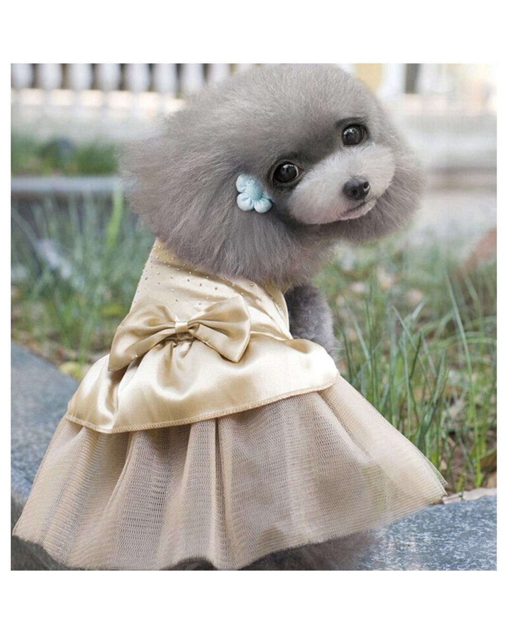Tutu Dog Dress Lace Dress Cute Pet Cat Princess Apparel Clothes Party Pet Skrit for Dog and Cat Pet Supplies front-2