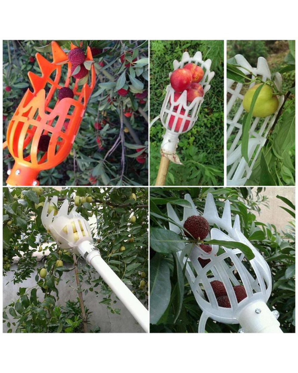 Fruit Picker Catcher front-1