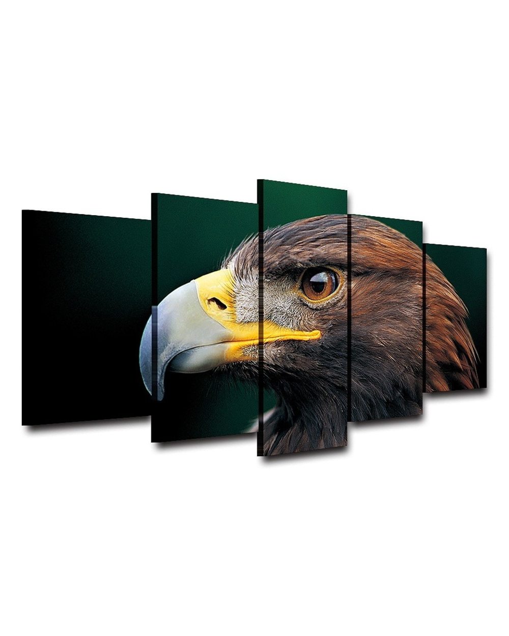 Animal Eagle Modern Picture Print Animal 5 Panel Canvas Art Wall Decor front-1